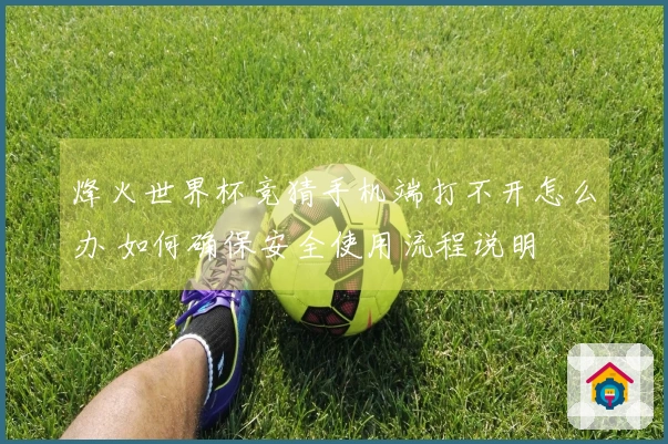 烽火世界杯竞猜手机端打不开怎么办 如何确保安全使用流程说明
