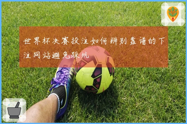 世界杯决赛投注如何辨别靠谱的下注网站避免踩坑